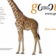 Giraffe – Neue Aussichten!